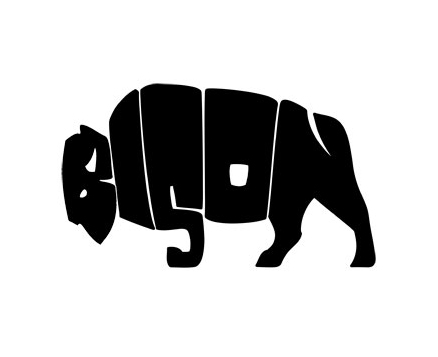 Bison